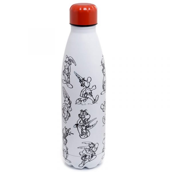Asterix Stainless Steel Hot & Cold Drinks Bottle