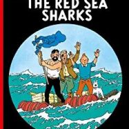 Red Sea Sharks Hardback Book